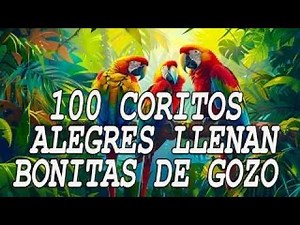 Coritos Alegres Llenan Bonitas De Gozo - Cristianos Coros - Mas De 50 Coros Avivamiento Pentecostal