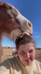 More Chicken Nugget snuggles ❤️ | HaydenKristal and Critters