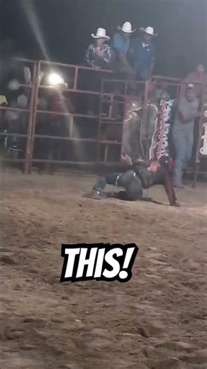 Ways to make money in Mexico: Bull Attention getter 🐂 🤠