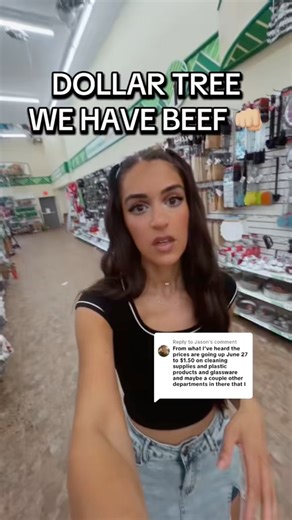 DOLLAR TREE IM SO MAD AT YOU 😡 | Dollar Tree Dollie