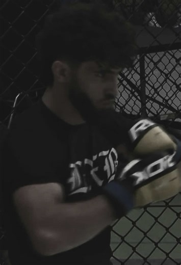 MMA Knockout Highlights: Striking at Its Best