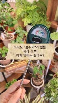 화분 과습 예방에 도움이 되는 토양 수분측정기! 테스트 해보았어요♡ #제라늄물주는법 #제라늄키우기 #shorts #식집사 #식물물주기꿀팁