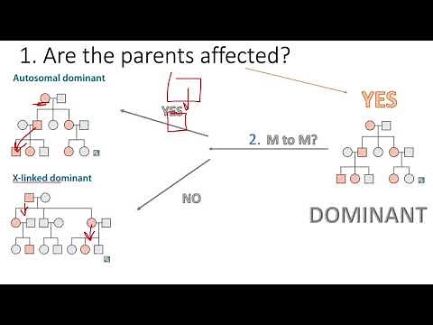 How To Solve ANY Pedigree Without Reading the Question (USMLE)