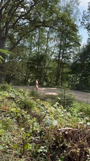 40K views · 19K reactions | Having the best time in the Toyota GR Yaris @tgr_wrc 朗 and in front of the amazing fans here! Thanks for sharing all this cool fan footage  | Oliver Solberg | Facebook