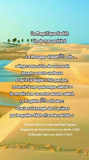 #hadith #islam #coran #sourate