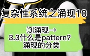 人生的意义何在？什么是pattern？涌现效应有哪些？