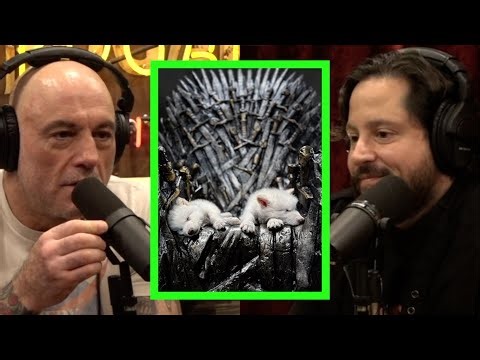 Scientists Bring the Dire Wolf Back from Extinction