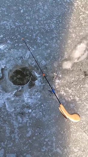 Ice Fishing Techniques: Catching and Releasing Fish