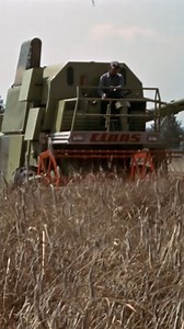 2.6K views · 48 reactions | Lo stile CLAAS nei favolosi anni 60. Dal 1967 al 1971, la MERCATOR, la SENATOR e le altre hanno rivoluzionato il mondo delle mietitrebbie. Che dire della postazione dell'operatore, che già all'epoca offriva ogni tipo di comfort? E soprattutto del nuovo colore “Verde germoglio”? Scriveteci nei commenti! #CLAASmorethanamachine #claasmachinery #claasfarming #claas #farming #harvest | CLAAS | Facebook
