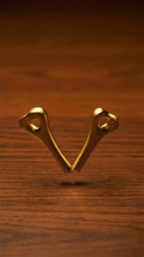 Breaking Wishbone 🦴✨ Who Gets the Luck