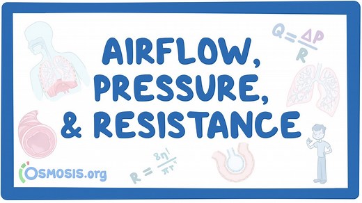 Airflow, pressure, and resistance: Video, Causes, & Meaning | Osmosis