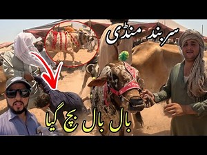 Sarband Mandi Bacha Bal Bal Bach Gya😳|Hammadkhan Vlogs|