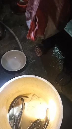 How to Clean and Prepare Fish for Cooking