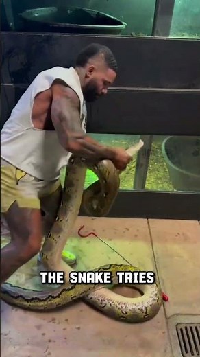 Man vs Python 😱