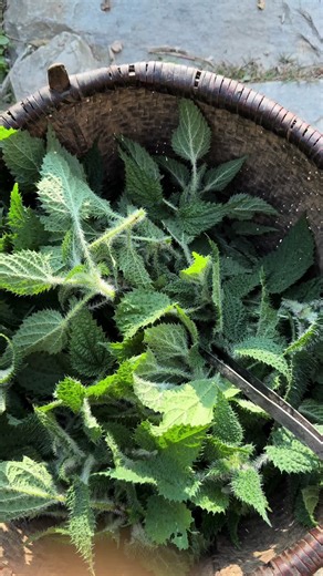 Join the Gaughar Vibes with the Viwe Challenge