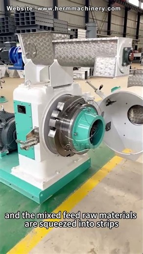 Feed Mill Machine for Making Poultry and Chicken Feed Pellet - Herm Machinery #feedpelletplant