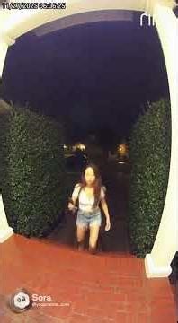 Part 12 Ring Cam Chaos – Skunks & Critters Turn Doorsteps Into Panic Zones! 😂🐾💥