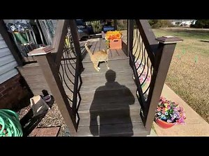 Simple Diagnostics using Short Pro Tool for HVAC