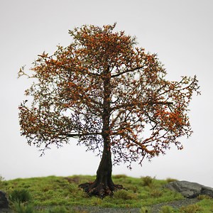 Handmade Miniature Tree: Realistic Model Scenery for Diorama, Railway, and Tabletop - Etsy