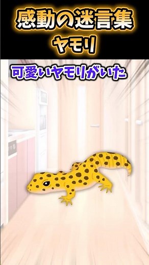 家の中にいるヤモリが可愛くて放置すると気味悪がる彼女→差別するなと伝えると【感動】 #shorts