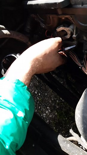 NEŠTO JE GRUHNILO, KAŽE GURABIJA | Jelenko Misic