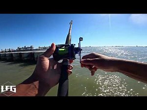 Fishing At The Galveston Ferry with LIVE SHRIMP & Artificial Lures