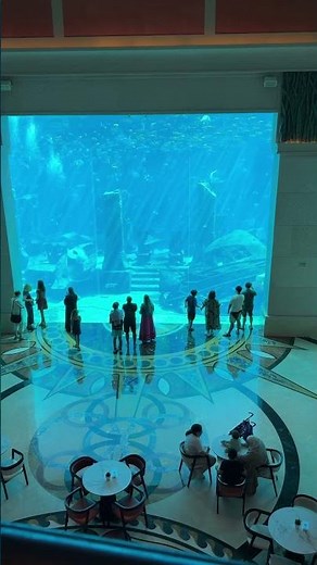 The Lost Chambers Aquarium | Atlantis Dubai 🇦🇪