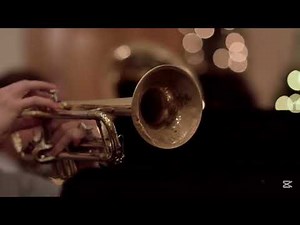 Boogie Beebies - Kangaroo (Polish Dub)