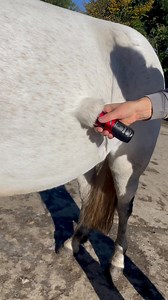 1.5M views · 8K reactions | Harmony plus top tips   Ensure coat...