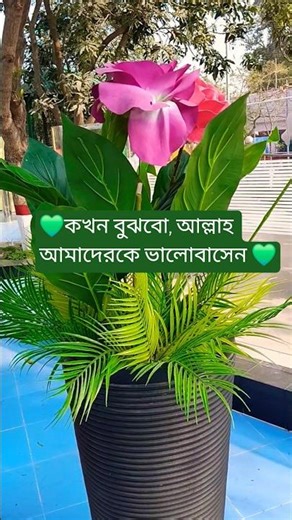 কখন বুঝবো আল্লাহ, আমাদেরকে ভালোবাসেন! Abu taha Adnan #islam​ #motivation​ #viral​ #shortvideo​ #waz​