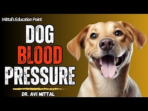 Dog Blood Pressure Practical | Dr. Avi Mittal | Pharmacology