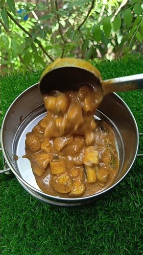 💥✨ Today lunch box recipe 💥✨#tomatorice #raita #mushroomgravy #pappaya #shorts #lunchbox #cooking