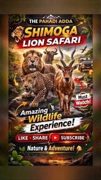 Lion Safari Shimoga Karnataka 🦁🔥 | Must Watch Wildlife Vlog | The Pahadi Adda