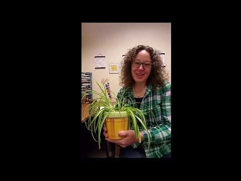 May Take and Make: Beaded Plant Stakes