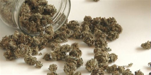 Assembly, police chief discuss concerns with potential marijuana code changes