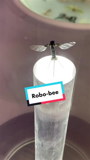 Robo-Bee: Tiny Tech, Big Impact - Like Black Mirror?