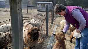 Greenville County adopts revised land development regulations