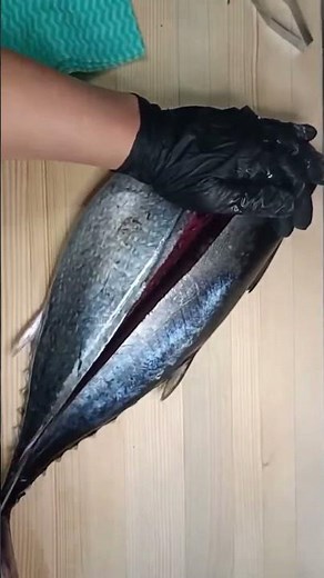 まぐろの捌き方です！マグロの中でもめじまぐろと言われる若い鮪です！若くて生なのでぷりぷりしていて若さがあふれて美味しいです！マグロで言う生は冷凍していないと言う意味です！