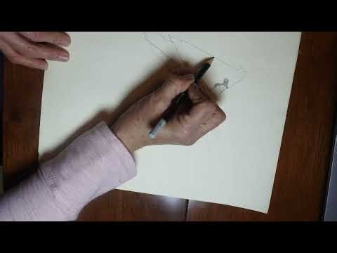 sweet cardinal in nature