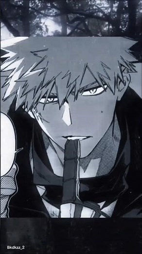 #bakudeku #dekubaku #midoriya #bakugo #bokunoheroacademia #manga