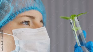 Scientist work with plant in test tubes in laboratory.