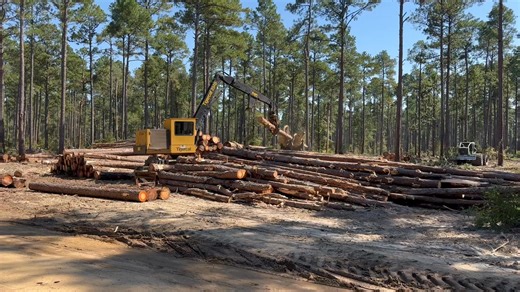 PLC of the Northeast - Professional Loggers on Reels | Facebook