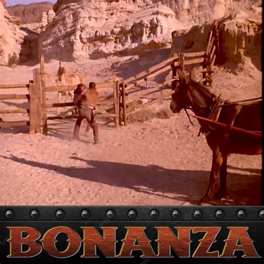 Bonanza Season 6 Episode 3 - The Wild One - P1 | Bonanza Forever