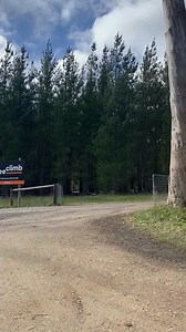 Want to know what to expect at TreeClimb? At TreeClimb, kids (and grown-ups!) don’t just play - they climb, explore, and grow! 🌱 Every course is packed with confidence-building fun, environmental discovery, and conservation learning - all high up in the trees! 🌲 📍 Adelaide | Kuitpo Forest | Salisbury Book your adventure now. Spots fill fast! 🎟️ | TreeClimb