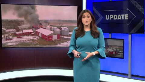 Body camera footage shows officers saving trapped cows during Lewiston barn fire