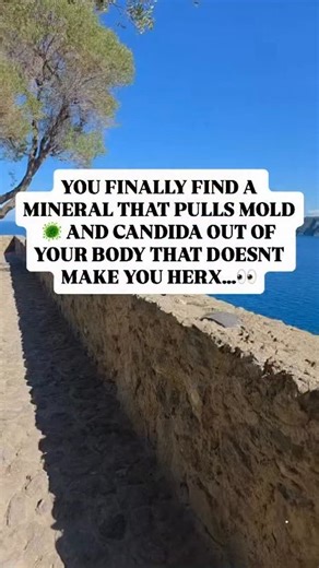 Danica on Instagram: "ONE MINERAL DOES IT ALL ✨️👇 I have literally seen people pass CLUMPS of candida while using this mineral. It acts fast and does NOT cause die off because it acts as a binder mopping up any toxins that are released during the cleansing process. It has also been shown in studies to remove mycotoxins (the toxins that mold release), and heavy metals. The TOP signs you have candida overgrowth: 🟣constant & intense sugar cravings (binge eating sweets) 🟣frequent yeast infections