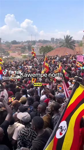 igaherbert (@igaherbert)’s videos with original sound - igaherbert