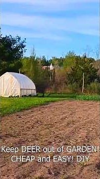 DIY Deer Fence for Garden