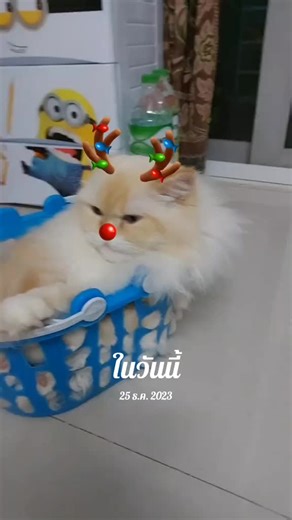 SoNsAk_DeEs บน TikTok