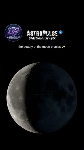 The Beauty of the Moon Phases 🌙✨